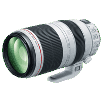 Canon EF 100-400mm f/4.5-5.6L IS II USM 