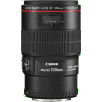 Canon EF 100mm f/2.8L Macro IS USM Lens