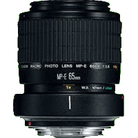 Canon Macro Lenses